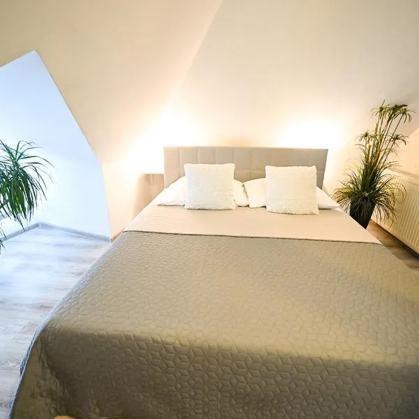 Penzion Pri Parku, hotel in Trenčín