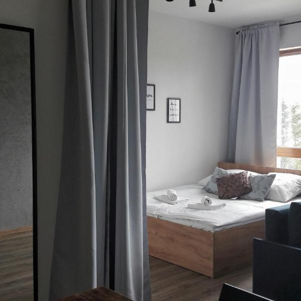 Silver Apartment in Wilanów