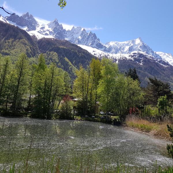 bel appartement , son jardin et le lac