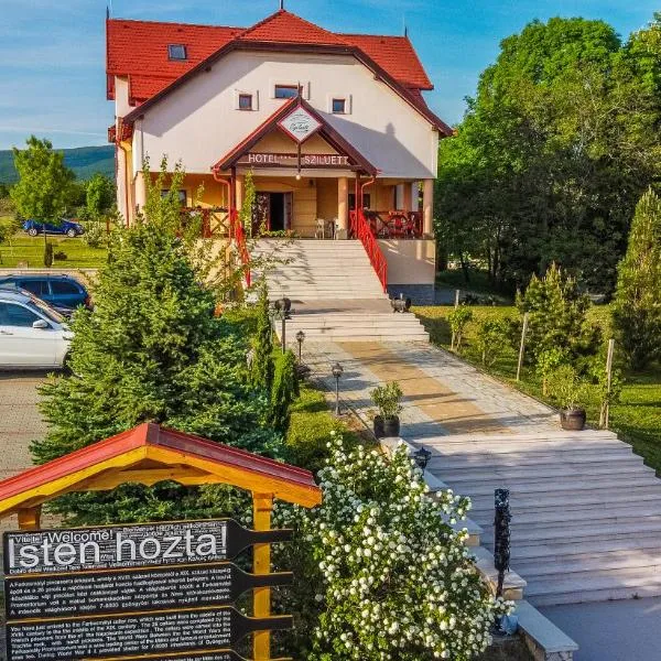 Borhotel Sziluett Farkasmály, hotel v destinaci Gyöngyös