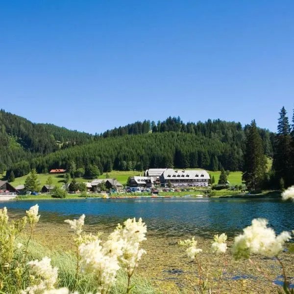 Hotel Teichwirt, hotel in Fladnitz an der Teichalm