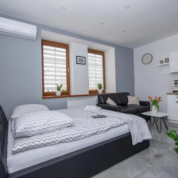 Apartamenty AP 12, hôtel à Częstochowa