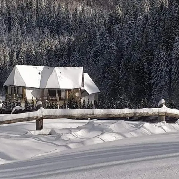 Садиба "Градний Узвіз"、タターリウのホテル