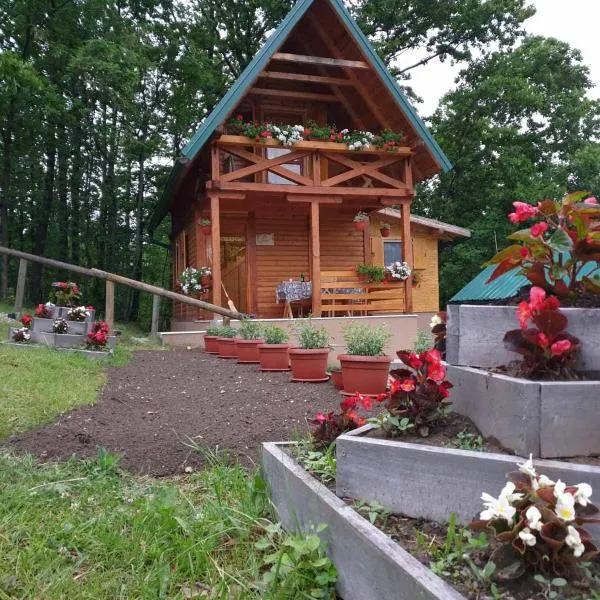 Brvnare Dunja 1 i Dunja 2, hotel in Kraljevo