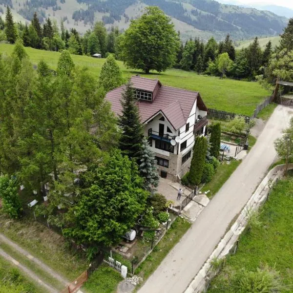 pensiunea Gabriela, hotel in Durau