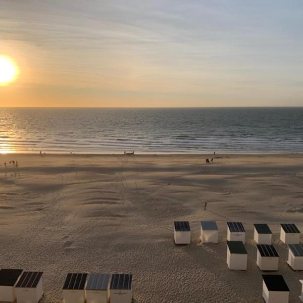 Parel aan het strand