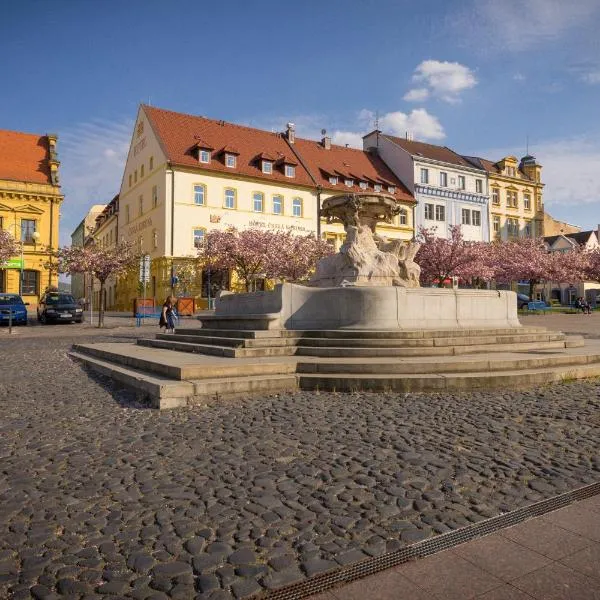 Hotel Česká Koruna, hotel i Děčín