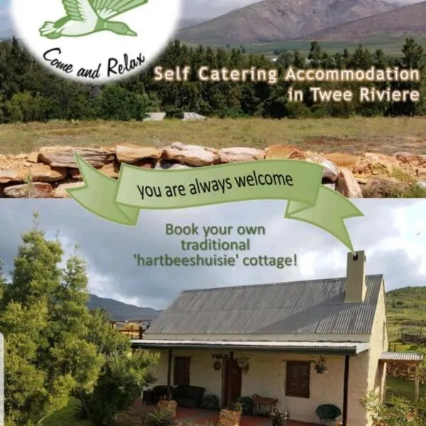 pansy, hotel i Joubertina