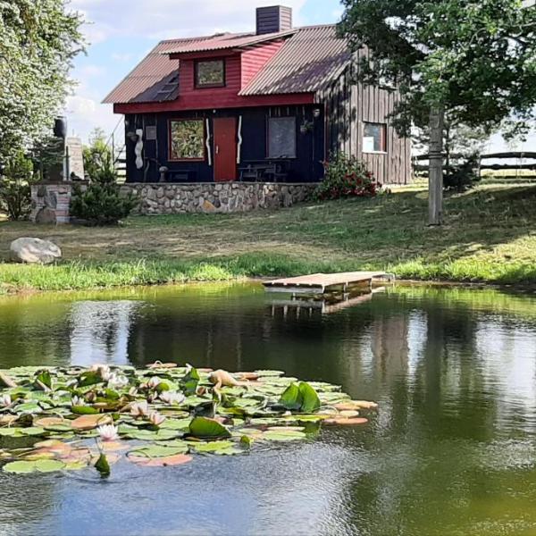 House in nature