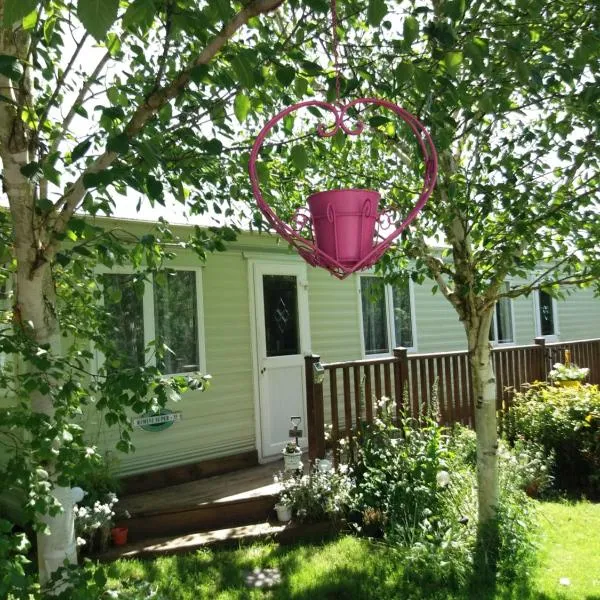 Hills View Accommadation、Borrisoleighのホテル