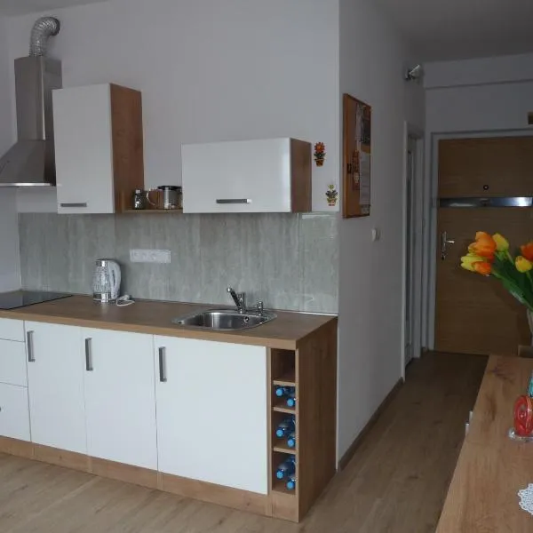 Apartman Q11, Hotel in Sokolov