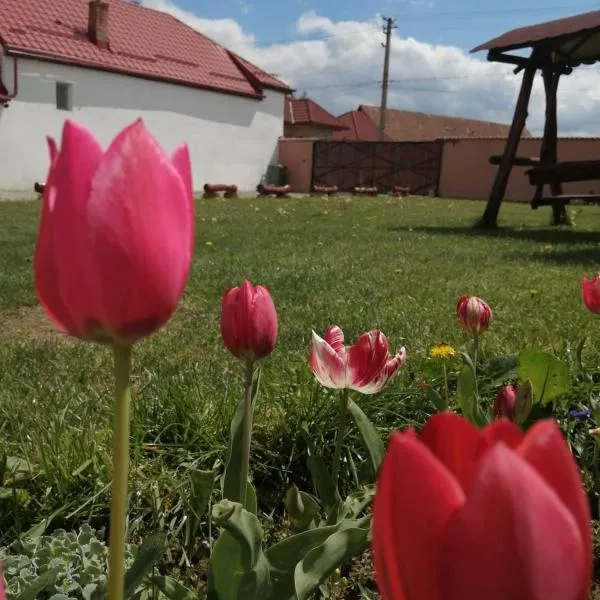 Casa Suzy & Roxy, Hotel in Arpaşu de Jos