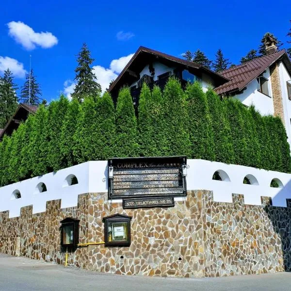 Complex Cochet, hotel in Buşteni
