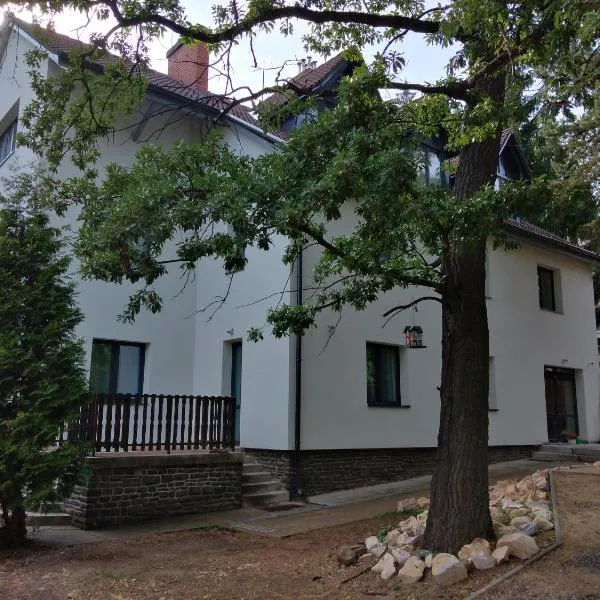 Diana Panzió, hotel in Mátrafüred