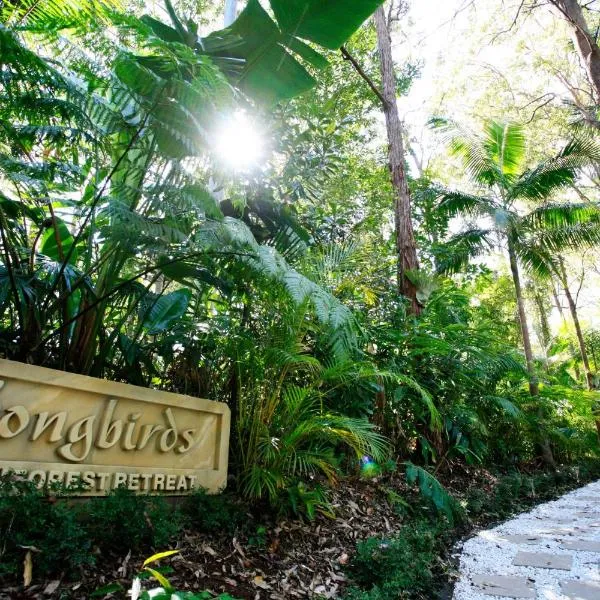 Songbirds Rainforest Retreat、タンボリーン・マウンテンのホテル