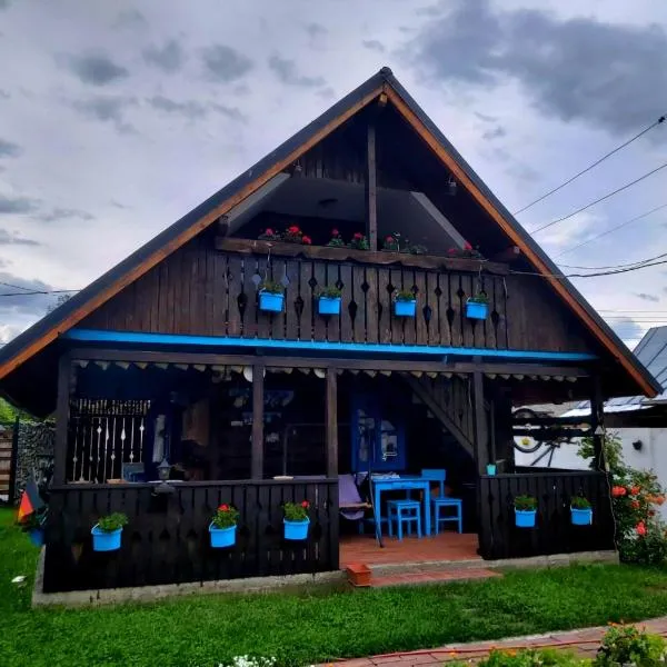 Casa Toth, Hotel in Vişeu de Sus