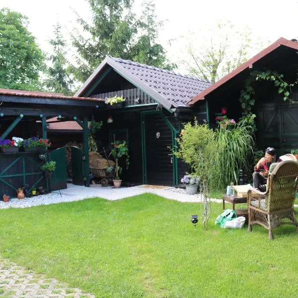 Frenkcottage 5 KM FROM THE AIRPORT- FREE TRANSPORTATION, hotel in Šenčur