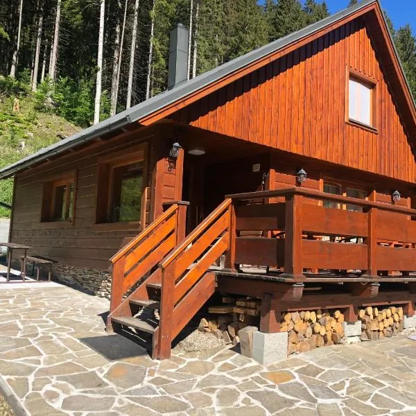 Areál Lesková, hotel in Velké Karlovice