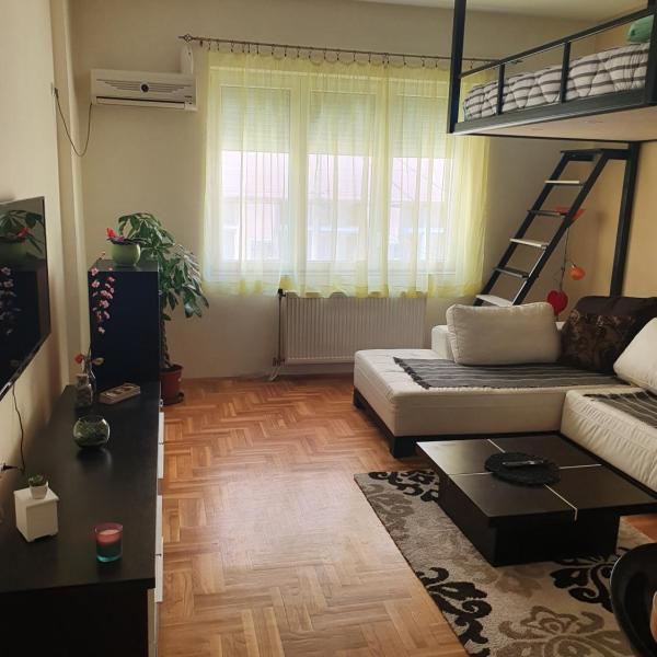 Stankovic apartman