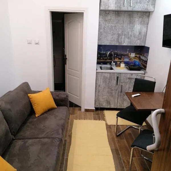 Studio Simonovic, ξενοδοχείο σε Vrnjačka Banja