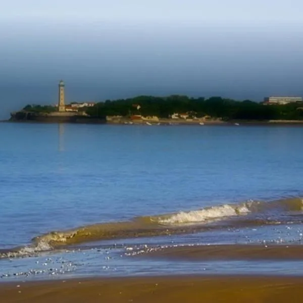 Le Crist'Al, hôtel climatisé, front de mer, proche du centre ville, et solution de restauration، فندق في سان-جورج-دي-ديدون