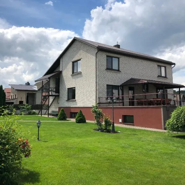 Arvydo Gylio sodyba，位于伊格纳利纳的酒店