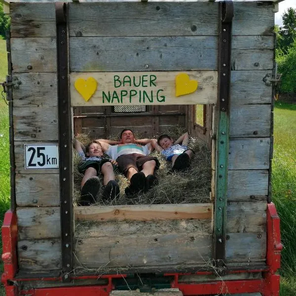 Bergbauernhof Stauder - Hirschbergalpakas, hotell sihtkohas Lendorf