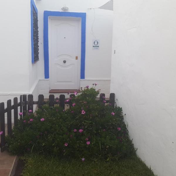 Casas Baro2