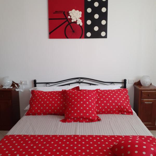 B&B MARZO '51