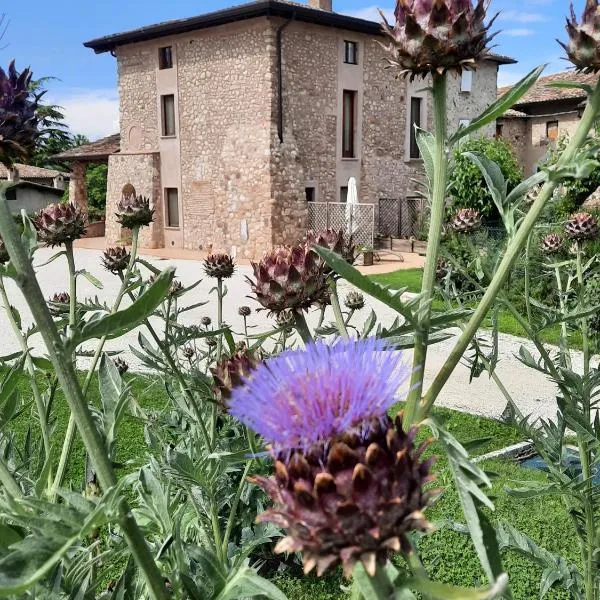 Corte Davini Agriturismo, hôtel à Monzambano