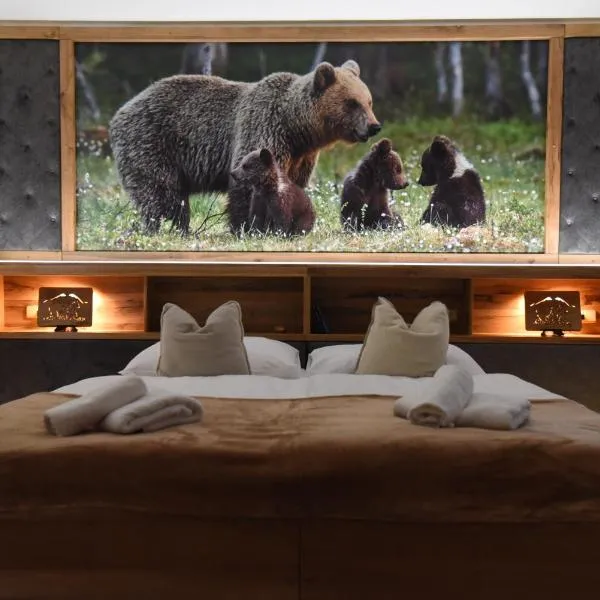 PENZION U MEDVĚDA, hotel in Frýdek-Místek