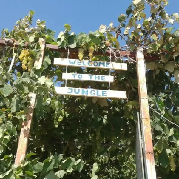 Camping Jungle in Borsh, hotel in Borsh