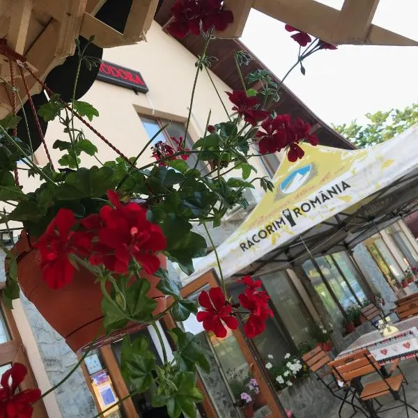 Pensiunea Minodora, hotel v destinaci Polovragi