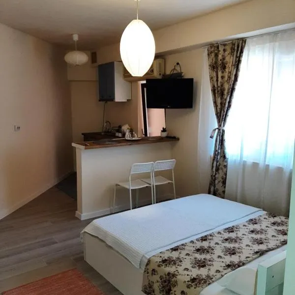 Casa Flamingo、クラヨーヴァのホテル