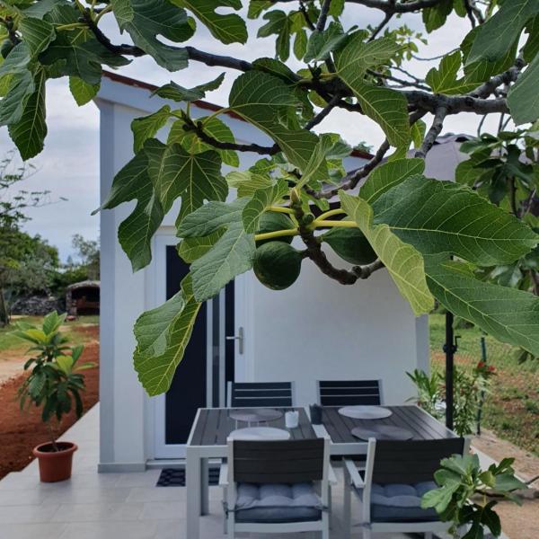 Studio Apartment Ceca***