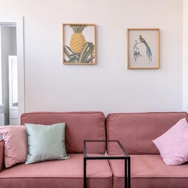 River house apartments，位于考纳斯的酒店
