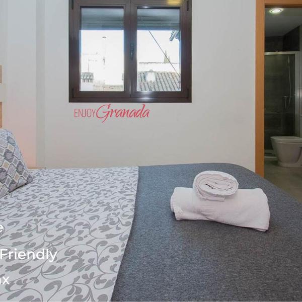 EnjoyGranada REALEJO ATICO DELUXE con Terraza