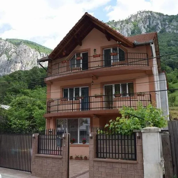 Casa Visescu, hotel in Băile Herculane