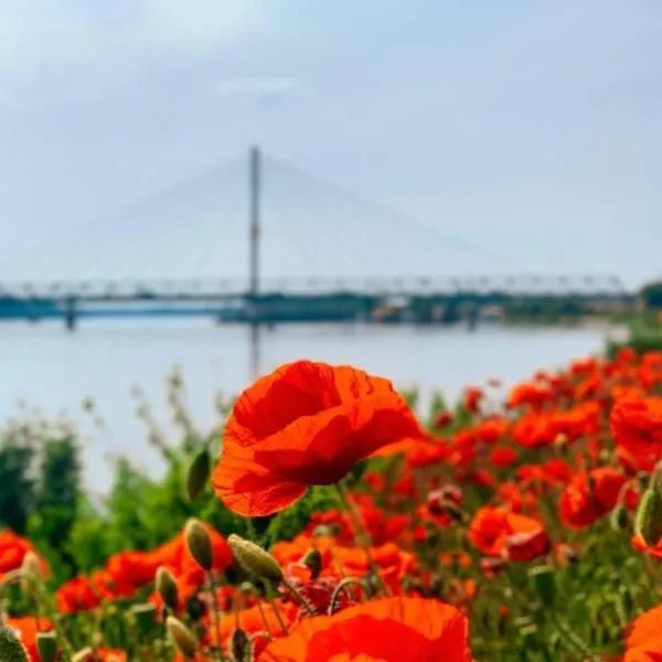 Amira Apartman, ξενοδοχείο σε Komárno