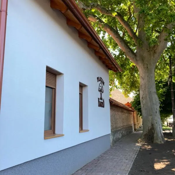 Platán Panzió, hotel in Csongrád