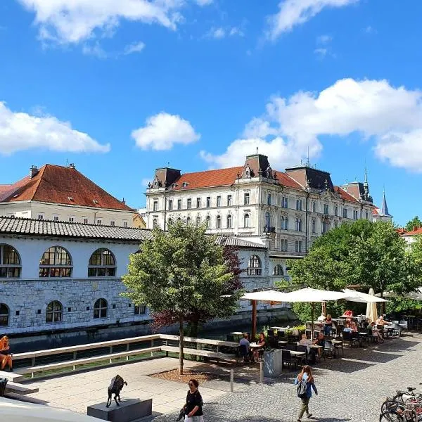 Petkovšek Rooms and Apartments, hotel in Ljubljana