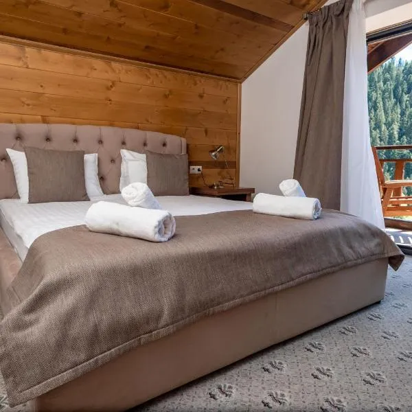 Residence Chalet & Nesh, Hotel in Tatariw