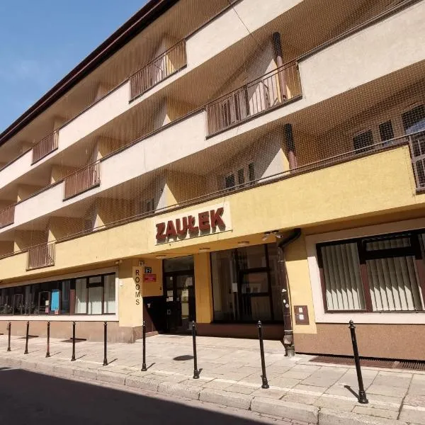 多姆学生胡同旅馆，位于克拉科夫的酒店