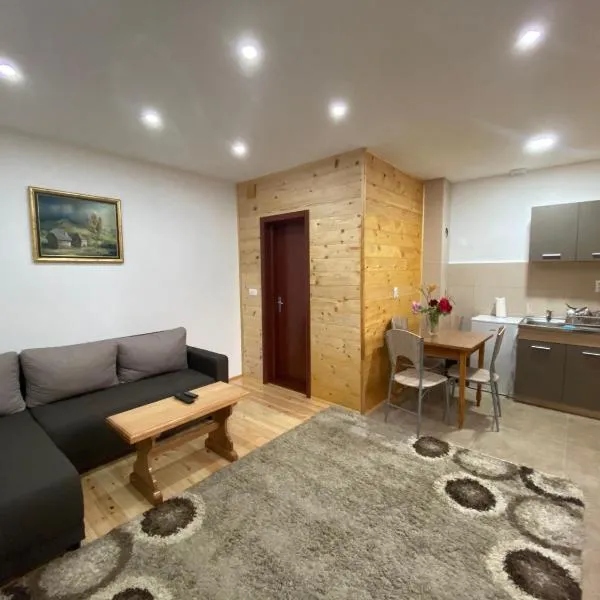 Stara kuća, hotel in Mokra Gora
