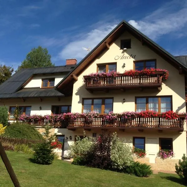 Apartmany Aneta, hotel in Špindlerův Mlýn