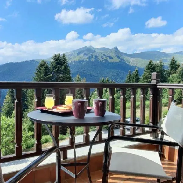 Ξενοδοχείο ΜΑΓΚΙΩΣΗ, ξενοδοχείο στο Νεραϊδοχώρι