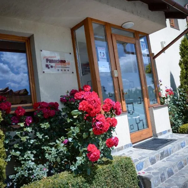Pension Panorama、オドルヘユ・セクイエスクのホテル
