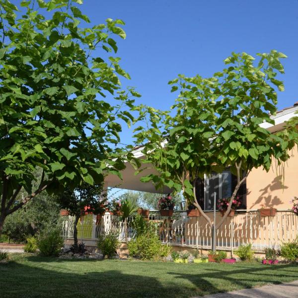 B&B Lara Santola