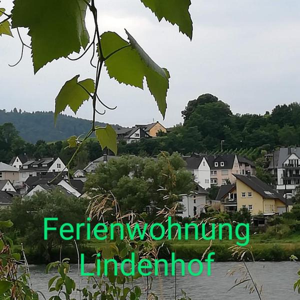 Die Ferienwohnung Lindenhof