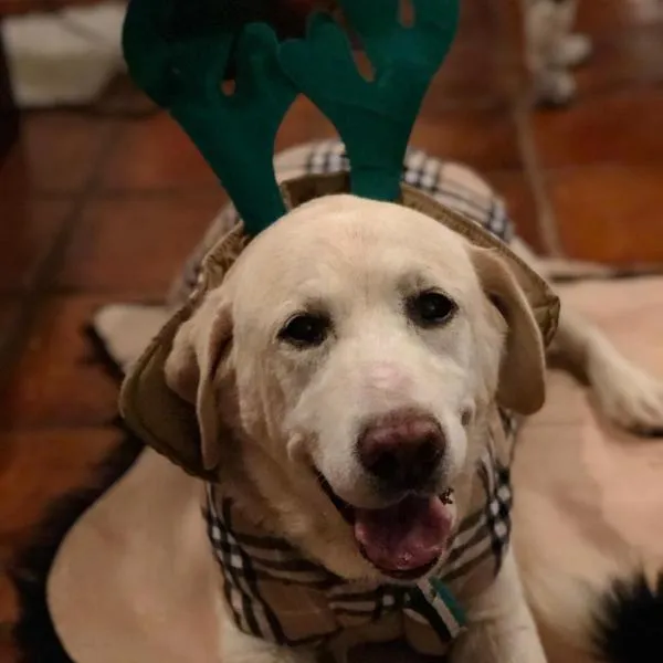 Casa Rural La Picota, hotell i Valverde de la Vera